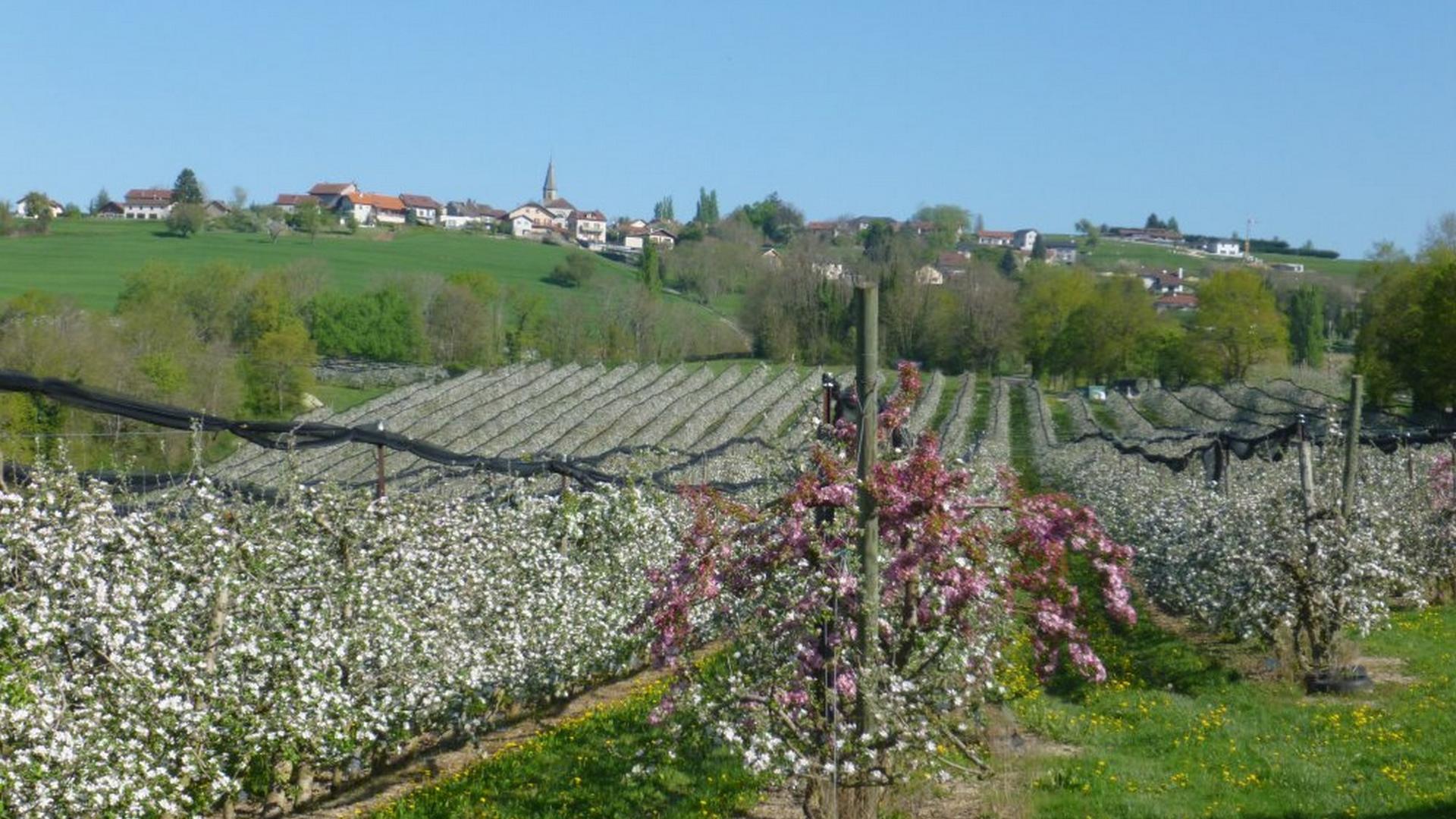Usinens Communauté de Communes Usses et Rhône